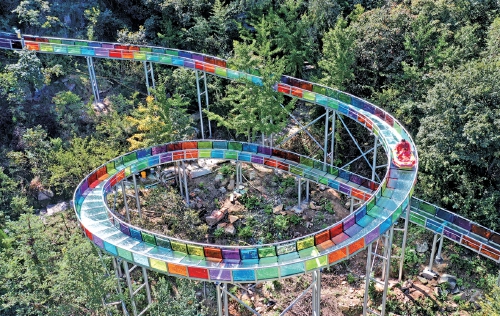 济南红叶谷第25届红叶节十一启幕 4000亩黄栌林演绎“三色秋韵”