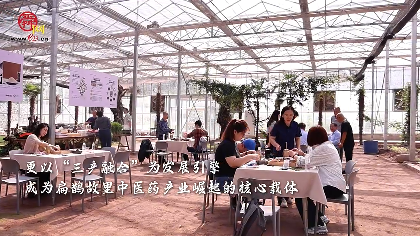 昔日荒山变身“百草园” 扁鹊故里崛起中医药产业融合园区