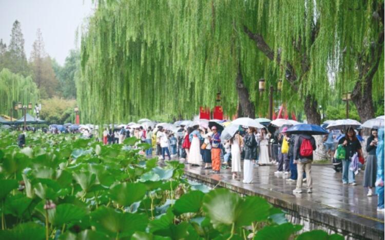 诗意与活力交织 泉水与游人相映 假期第五天全市30家景区实现营业收入1628.32万元