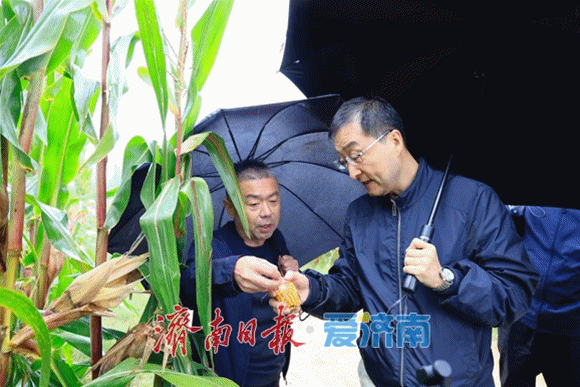 刘强调研“三秋”生产时强调 扎实抓好“三秋”生产 确保全年粮食丰产丰收