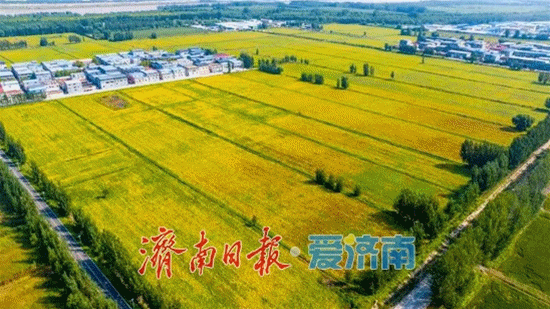 刘强调研“三秋”生产时强调 扎实抓好“三秋”生产 确保全年粮食丰产丰收