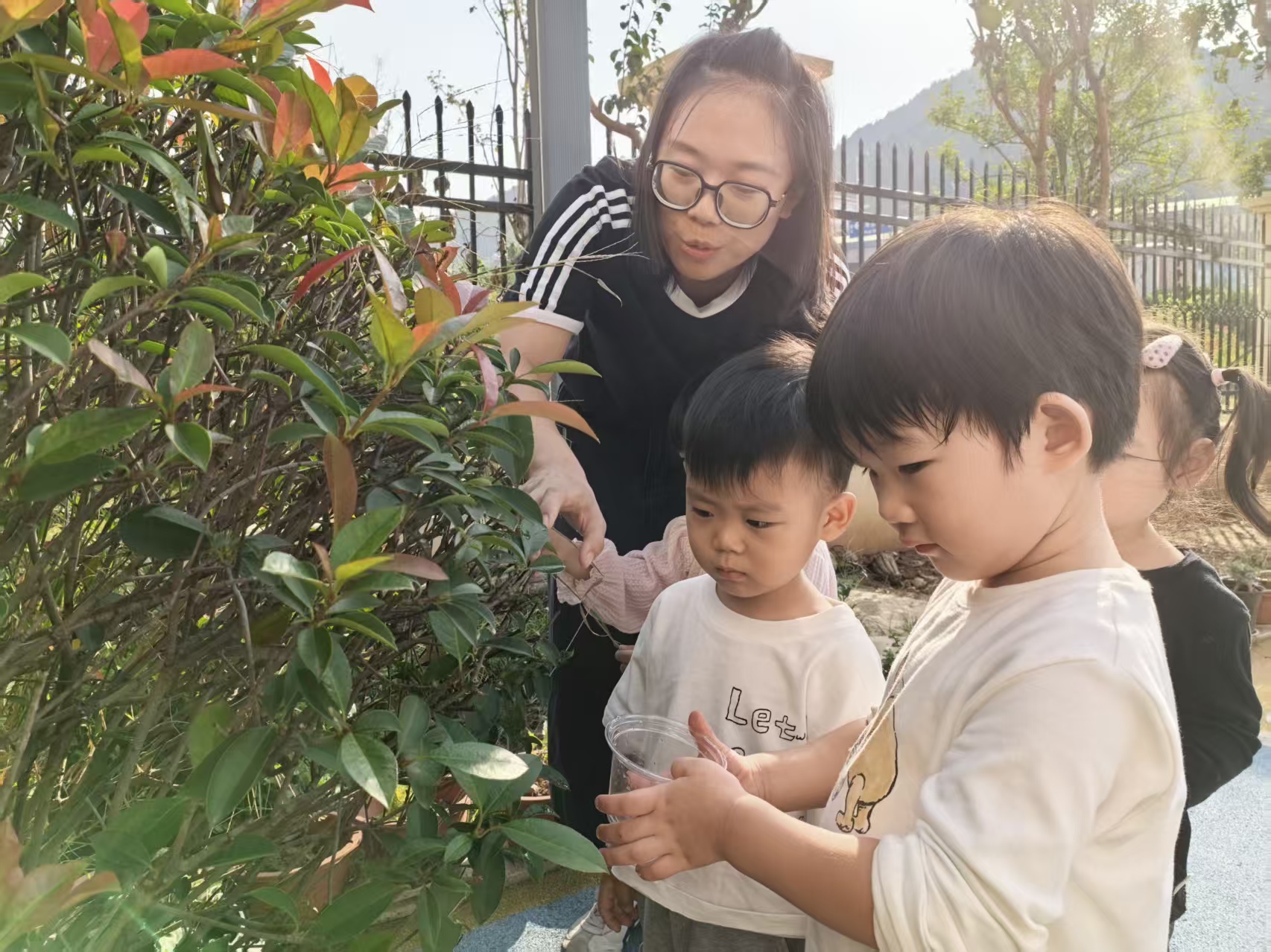 寒露润成长 童趣满园秋！蒙润幼教集团开展寒露节气主题活动