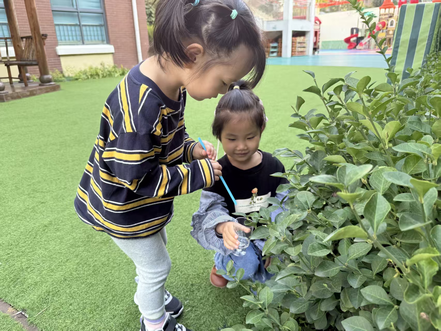 寒露润成长 童趣满园秋！蒙润幼教集团开展寒露节气主题活动