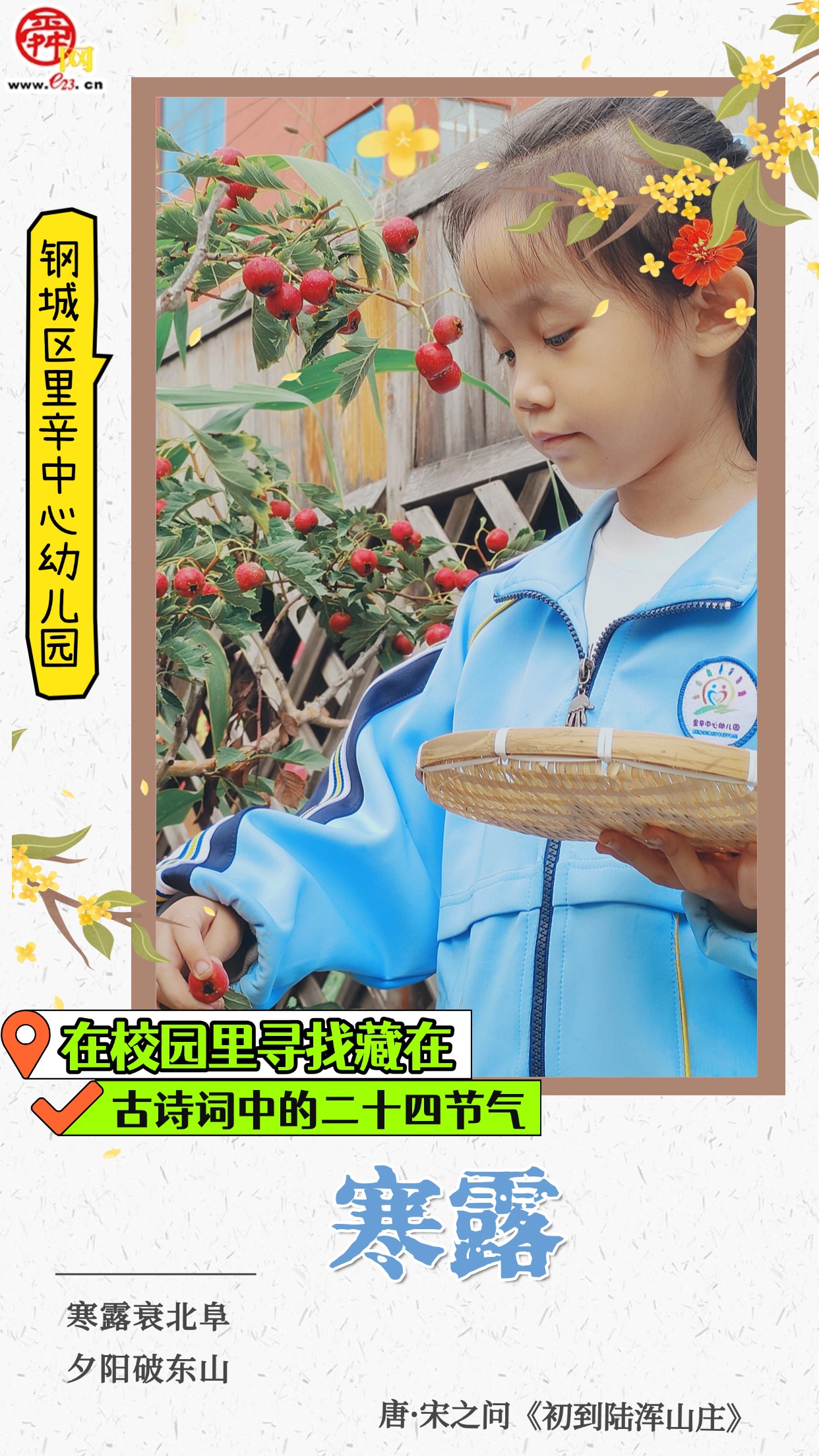 在校园里寻找藏在古诗词中的二十四节气｜寒露