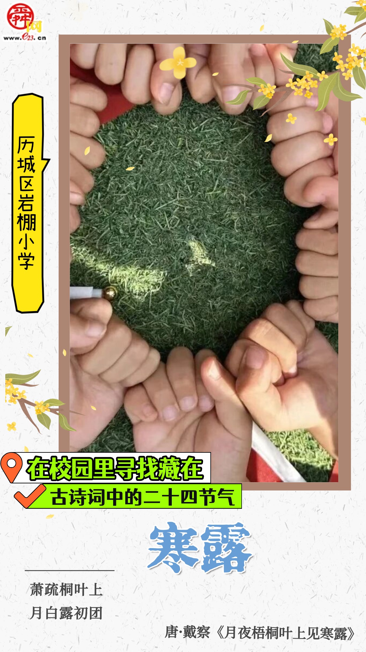 在校园里寻找藏在古诗词中的二十四节气｜寒露