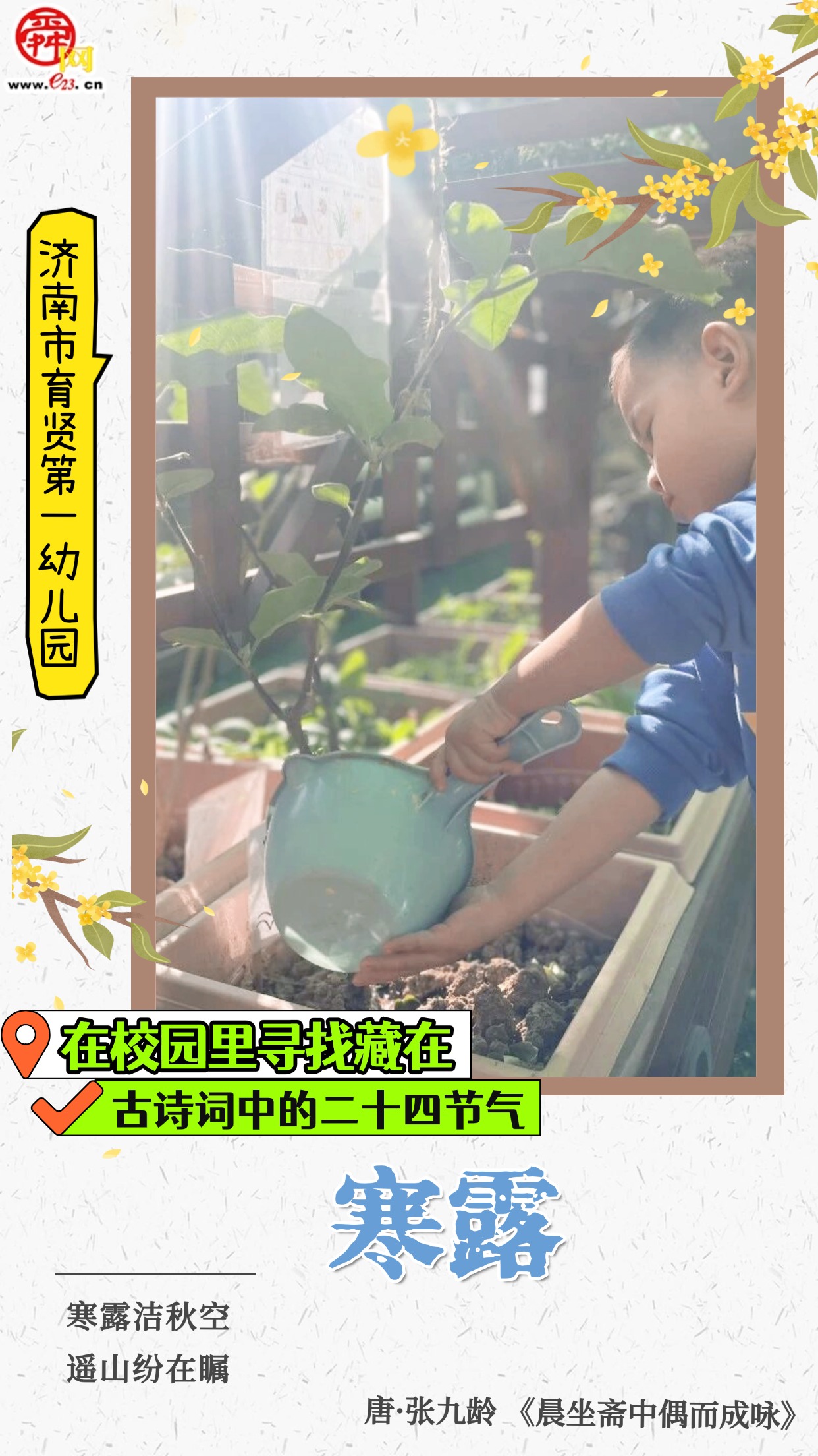 在校园里寻找藏在古诗词中的二十四节气｜寒露