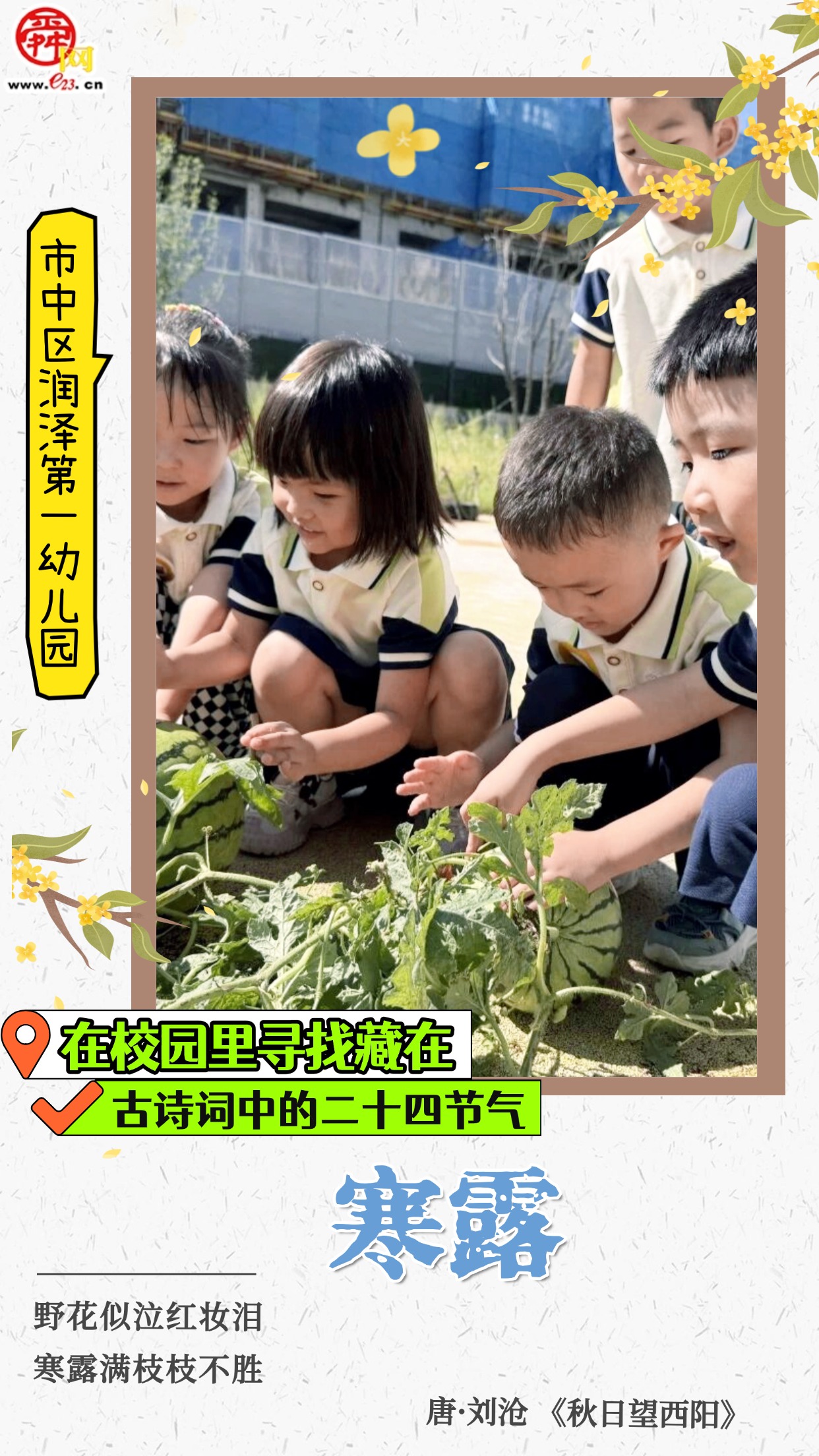 在校园里寻找藏在古诗词中的二十四节气｜寒露