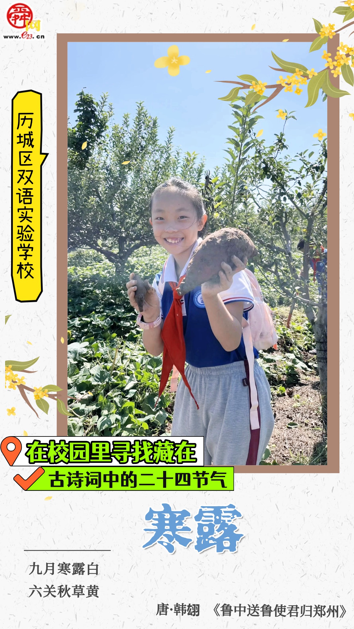 在校园里寻找藏在古诗词中的二十四节气｜寒露