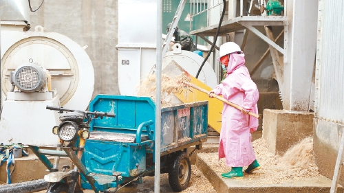 记者实地探访秋粮抢收一线——新老农人眼中的玉米烘干“保卫战”