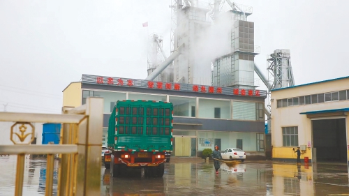 记者实地探访秋粮抢收一线——新老农人眼中的玉米烘干“保卫战”