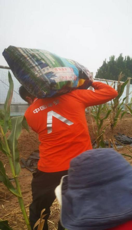 风雨中的守护者：平安产险潍坊中心支公司服务“三秋”