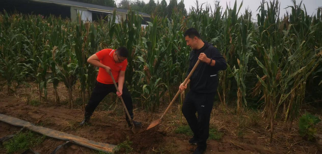 风雨中的守护者：平安产险潍坊中心支公司服务“三秋”