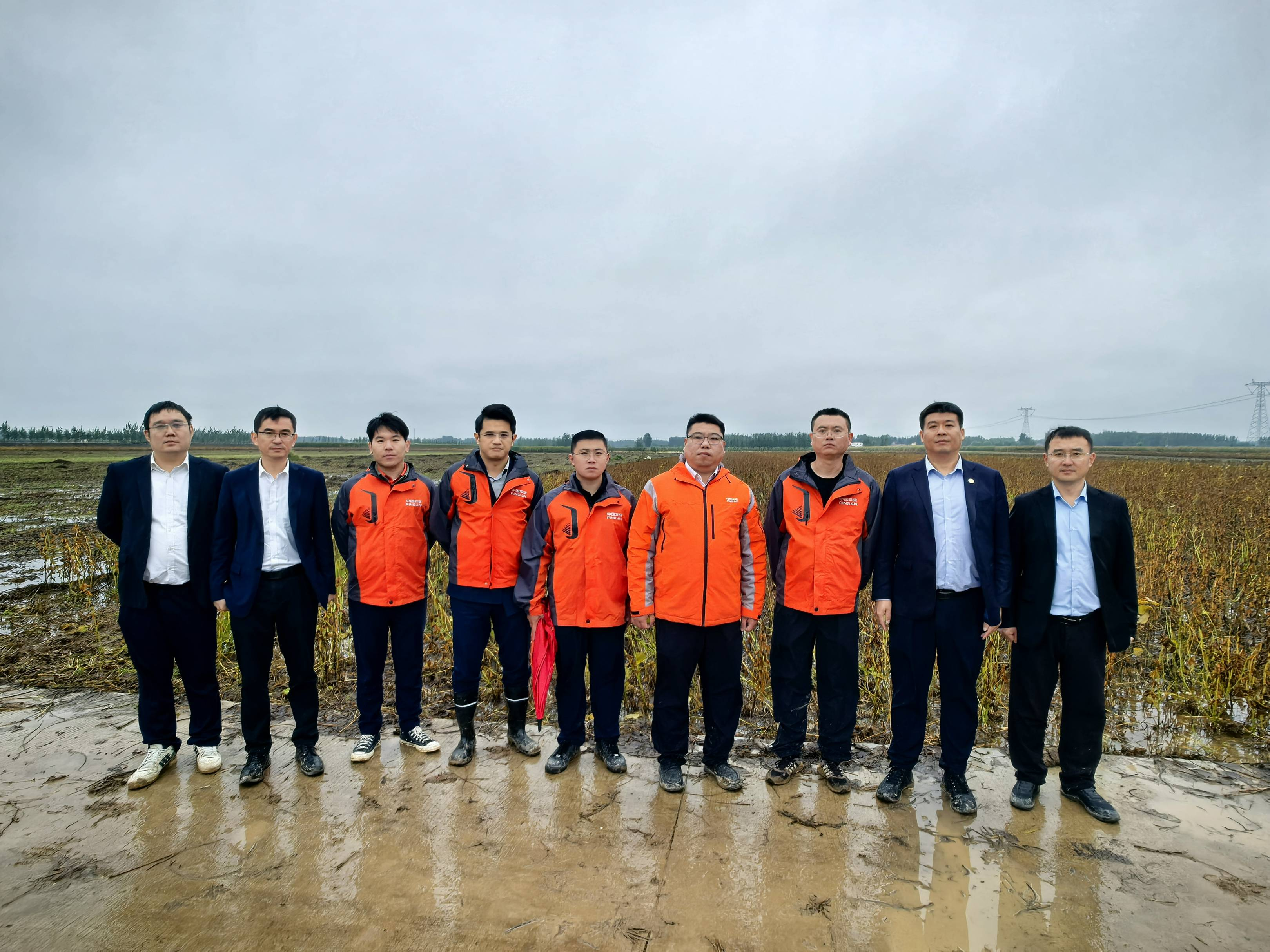 平安产险泰安中心支公司积极行动，助力东平县商老庄乡抗灾减损，保障秋粮丰收