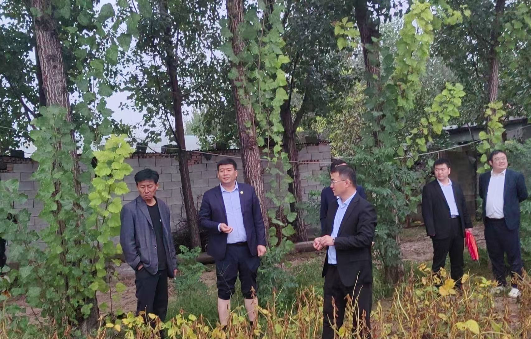 平安产险泰安中心支公司积极行动，助力东平县商老庄乡抗灾减损，保障秋粮丰收