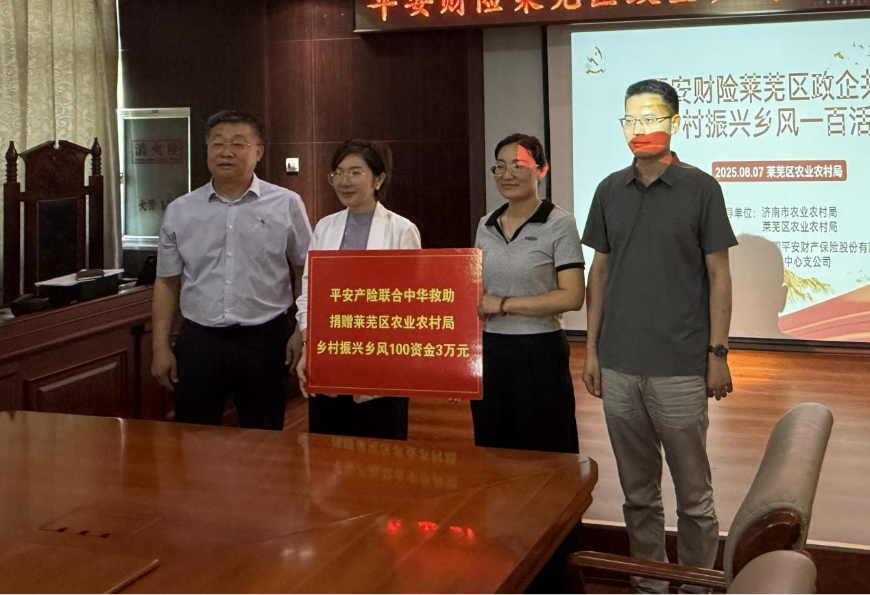 平安产险济南中心支公司“乡风文明100行动”莱芜站成功举办