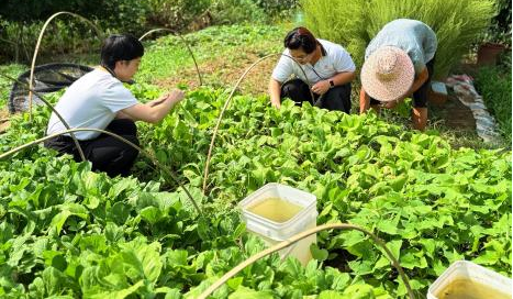 阳光人寿：汇聚金融教育星河，铸就权益守护坚盾