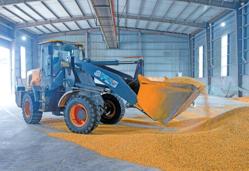 视觉：雨中夺粮 颗粒归仓