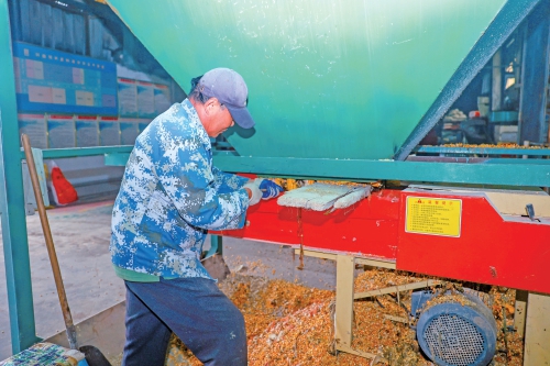 视觉：雨中夺粮 颗粒归仓