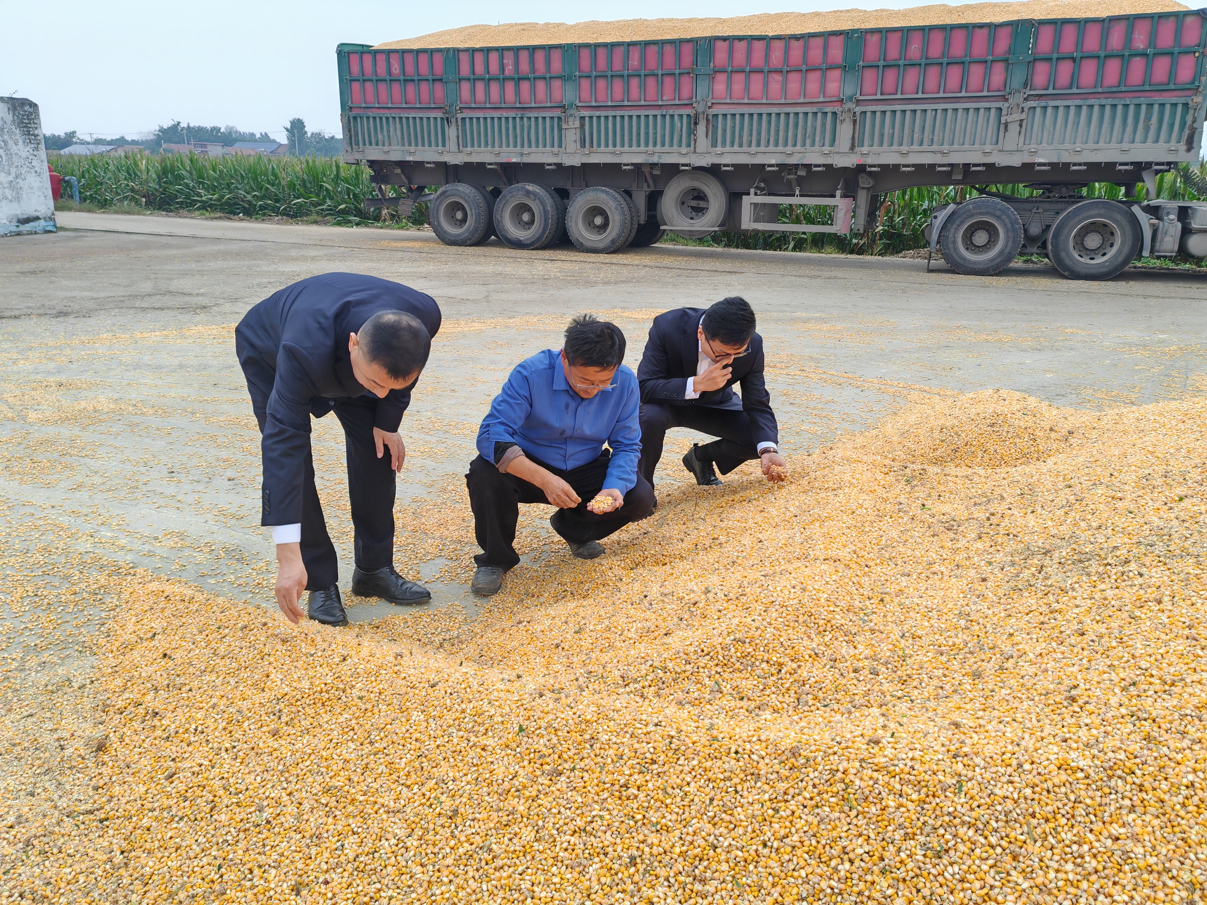 金融助秋收 济南工行解农忧