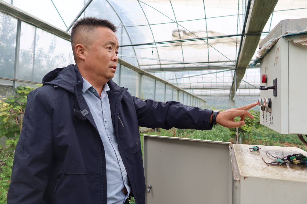 融媒·画像丨“科技农人”的小院里研究出了什么成果——看“一朵菊”的“72变”