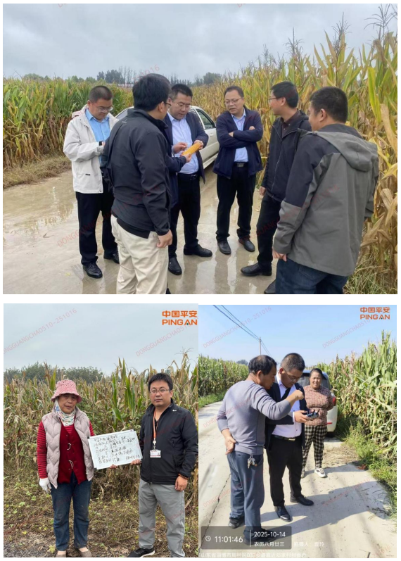 平安产险淄博中心支公司：护航秋收，纾困解难