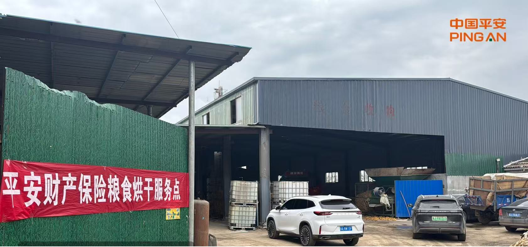 平安财险泰安中心支公司多措并举助力农户应对“三秋”挑战