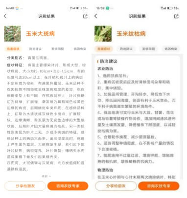 平安产险烟台中心支公司助力“三秋”工作，护航农业生产