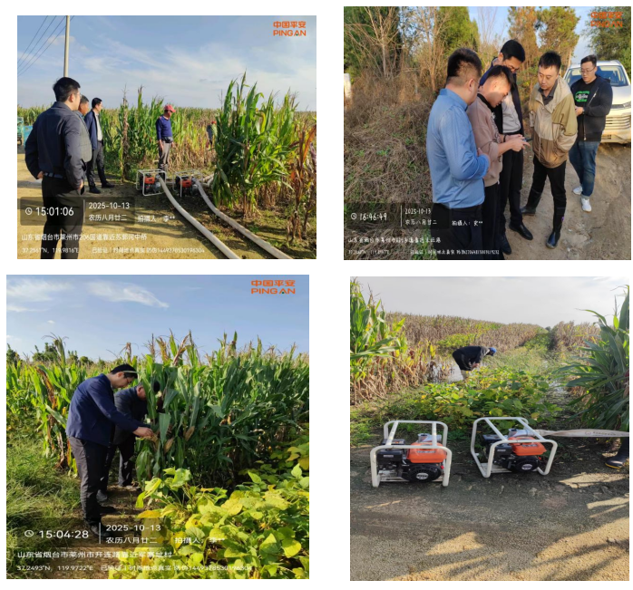 平安产险烟台中心支公司：平安护航秋收季 科技助力稳民生