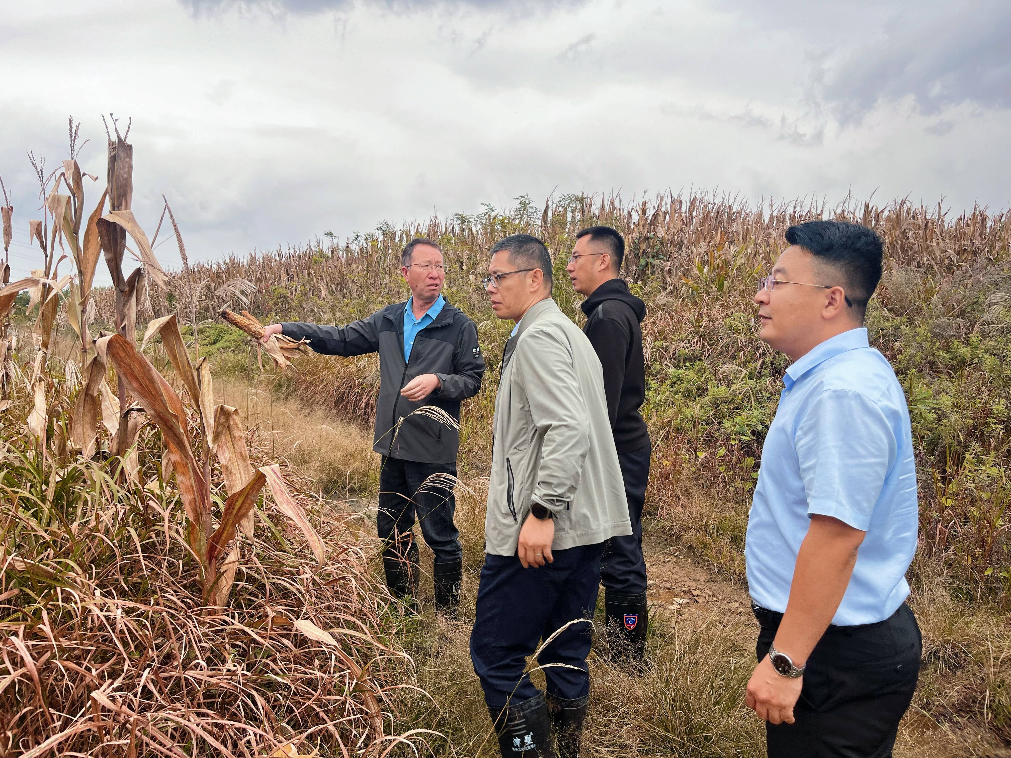 平安产险海阳支公司：三秋工作平安在行动