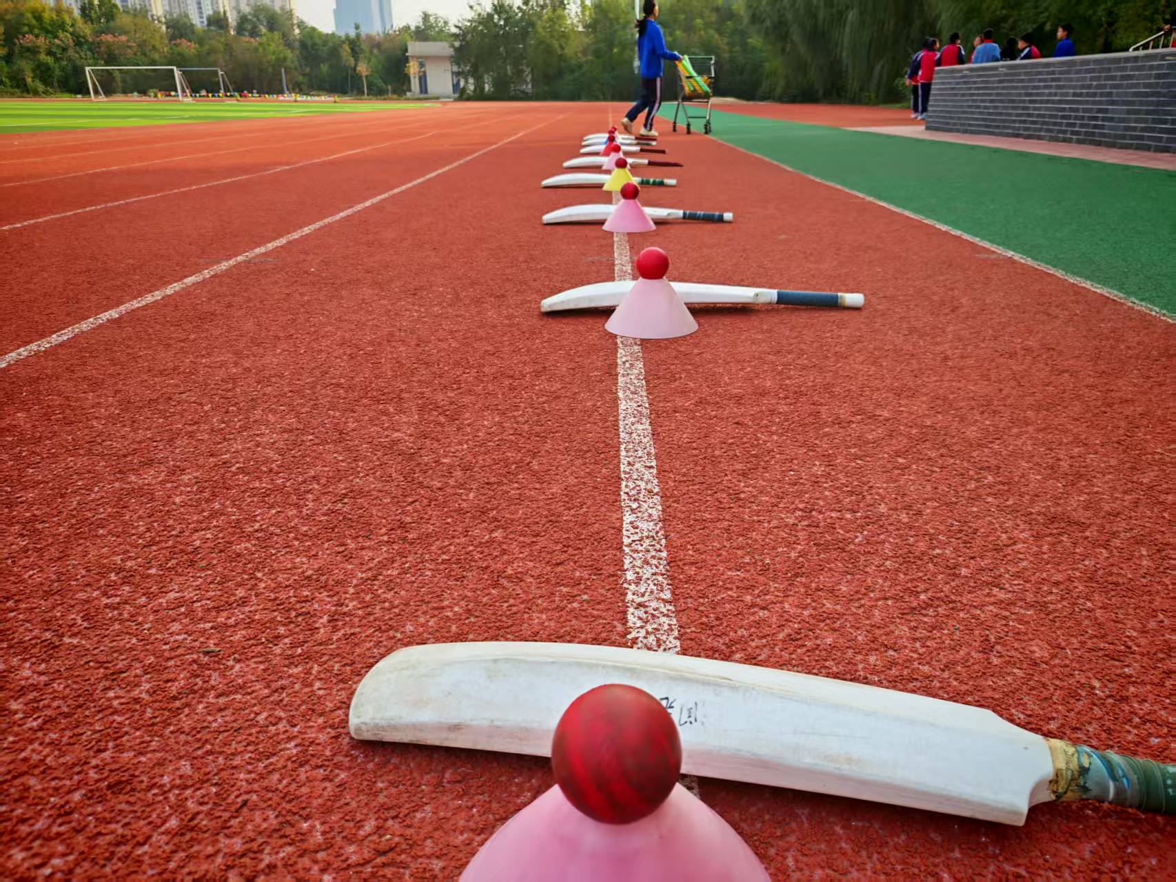 板球入奥,润元接棒!这所济南学校正在打造奥运人才培养新基地