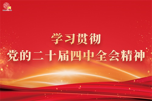 学习贯彻党的二十届四中全会精神