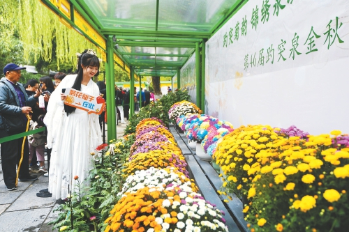 《中国国际旅游影响力跃升15城》发布 济南跻身国际旅游15强