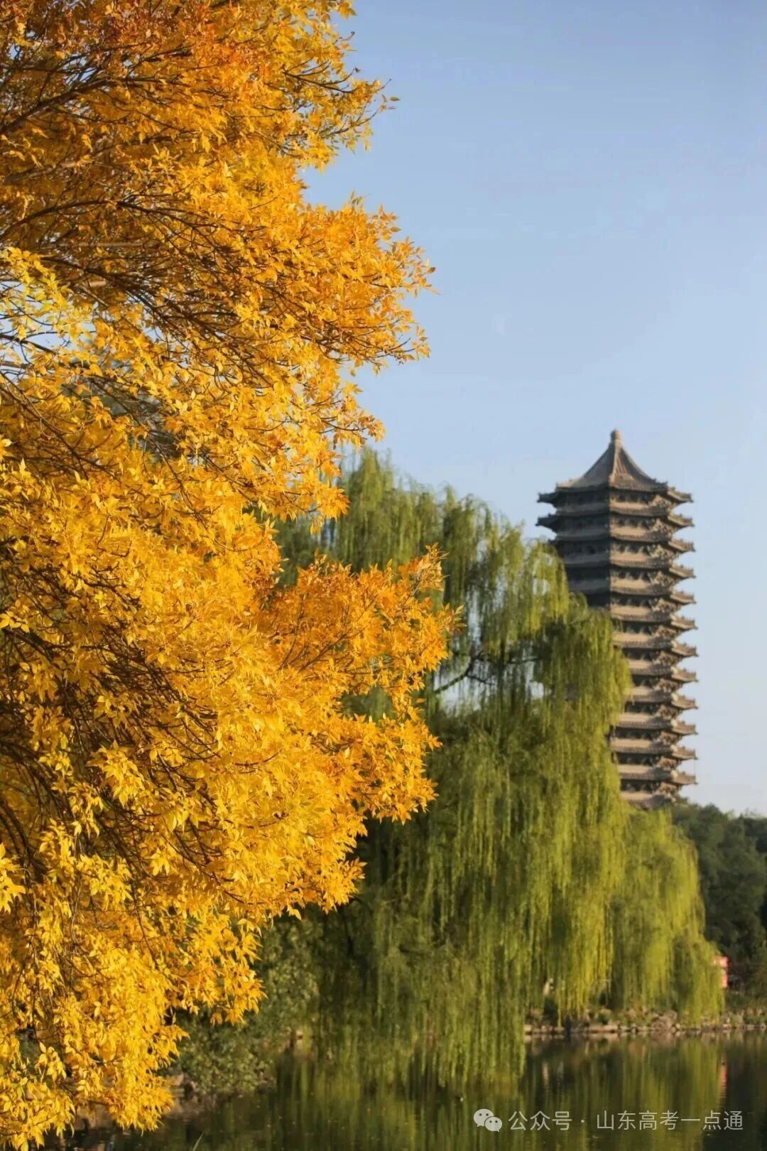 高校秋季“限定皮肤”已上线!这波秋景你pick哪一个?