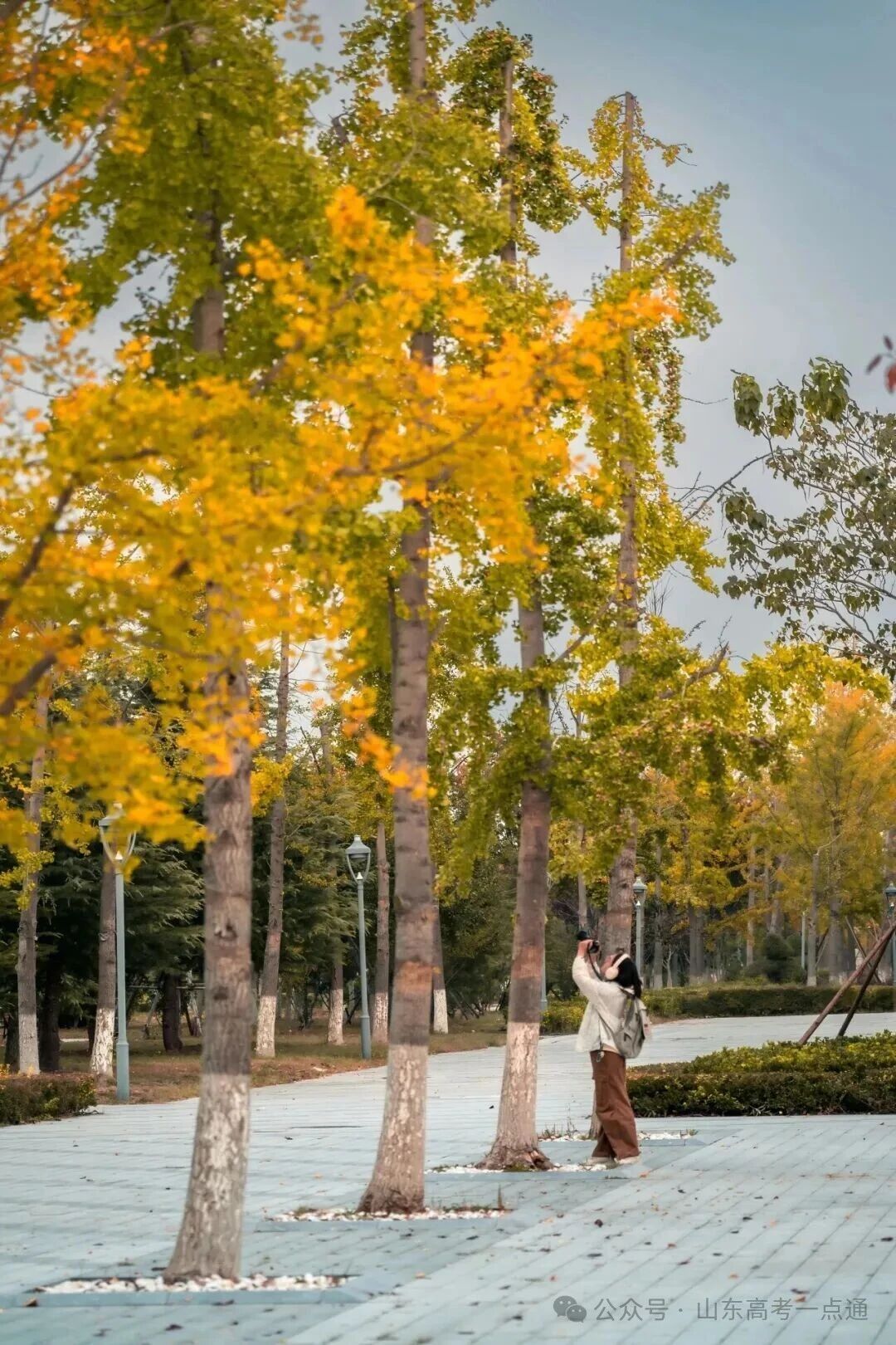 高校秋季“限定皮肤”已上线!这波秋景你pick哪一个?