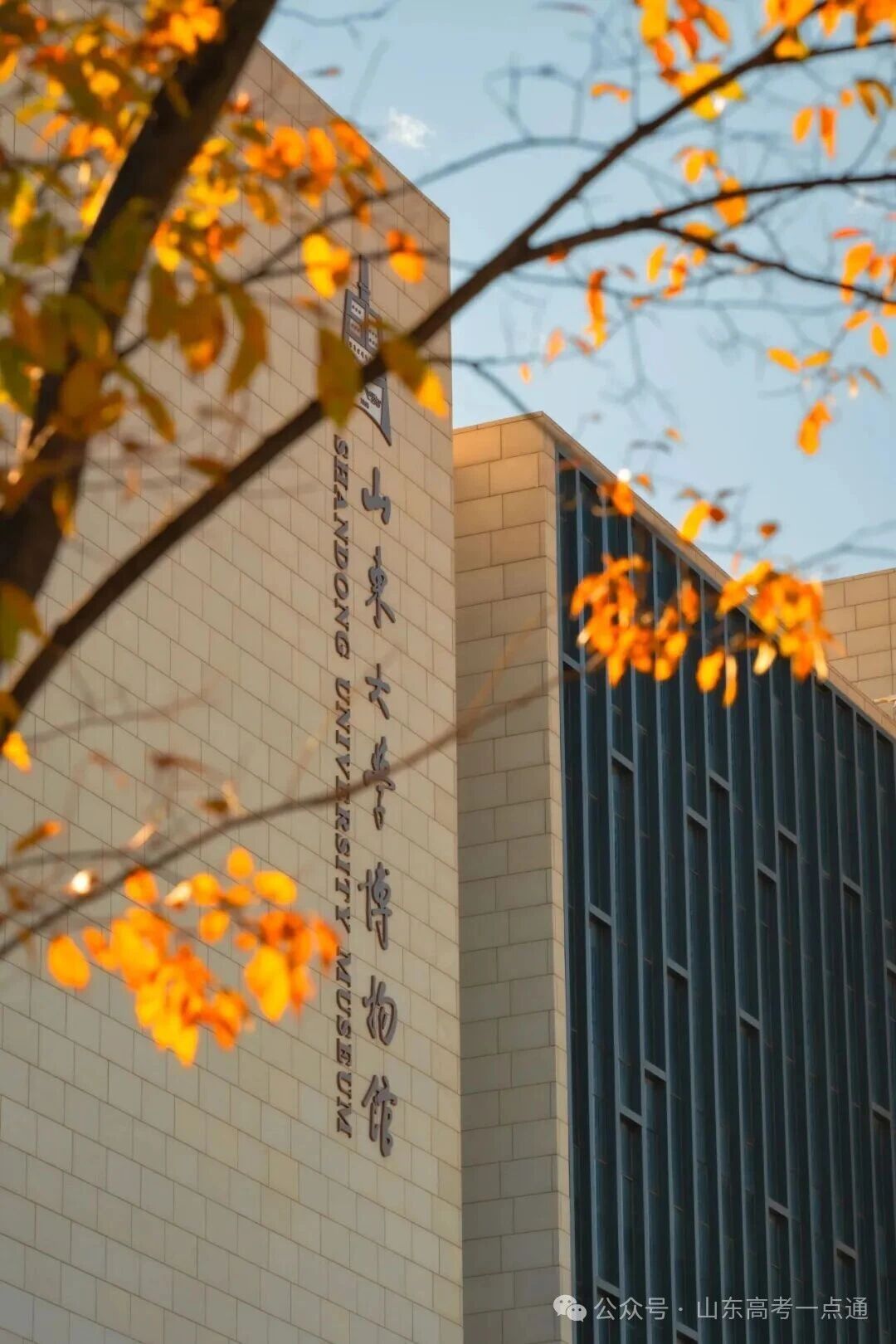 高校秋季“限定皮肤”已上线!这波秋景你pick哪一个?