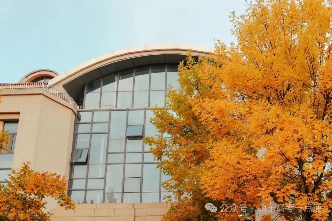 高校秋季“限定皮肤”已上线!这波秋景你pick哪一个?