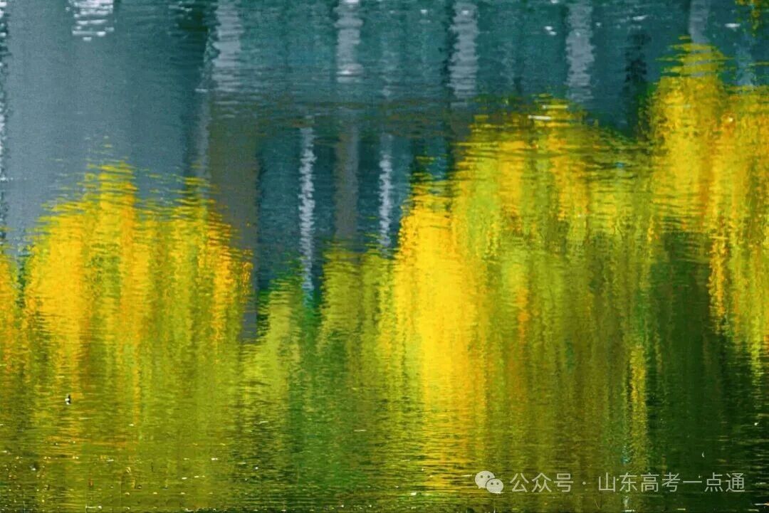 高校秋季“限定皮肤”已上线!这波秋景你pick哪一个?