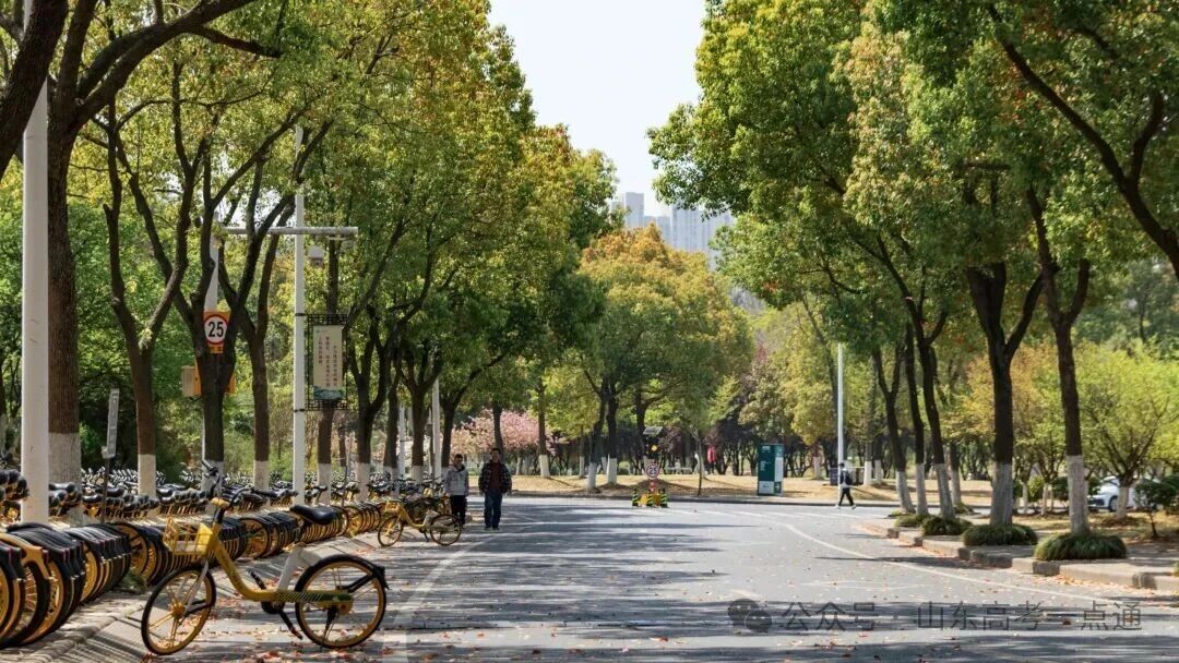 高校秋季“限定皮肤”已上线!这波秋景你pick哪一个?