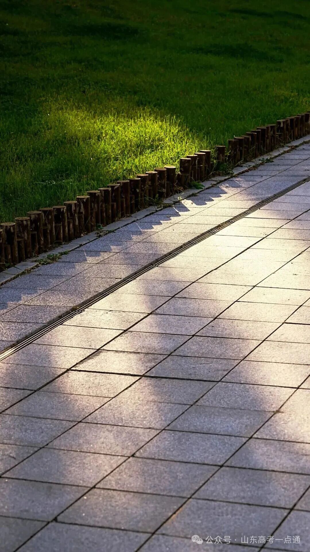 高校秋季“限定皮肤”已上线!这波秋景你pick哪一个?