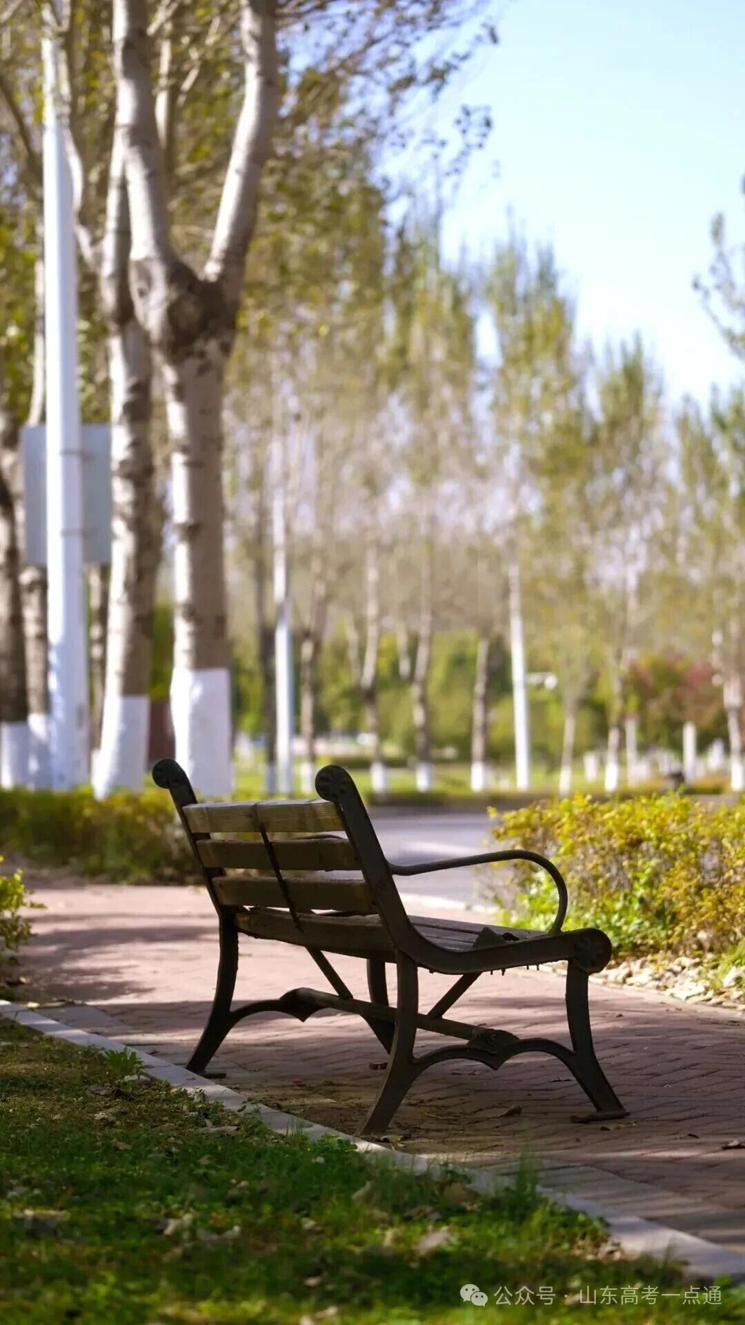 高校秋季“限定皮肤”已上线!这波秋景你pick哪一个?