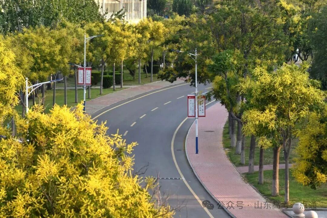 高校秋季“限定皮肤”已上线!这波秋景你pick哪一个?