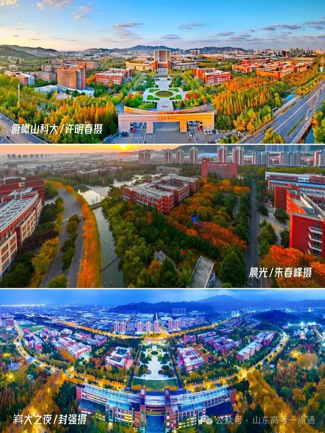 高校秋季“限定皮肤”已上线!这波秋景你pick哪一个?