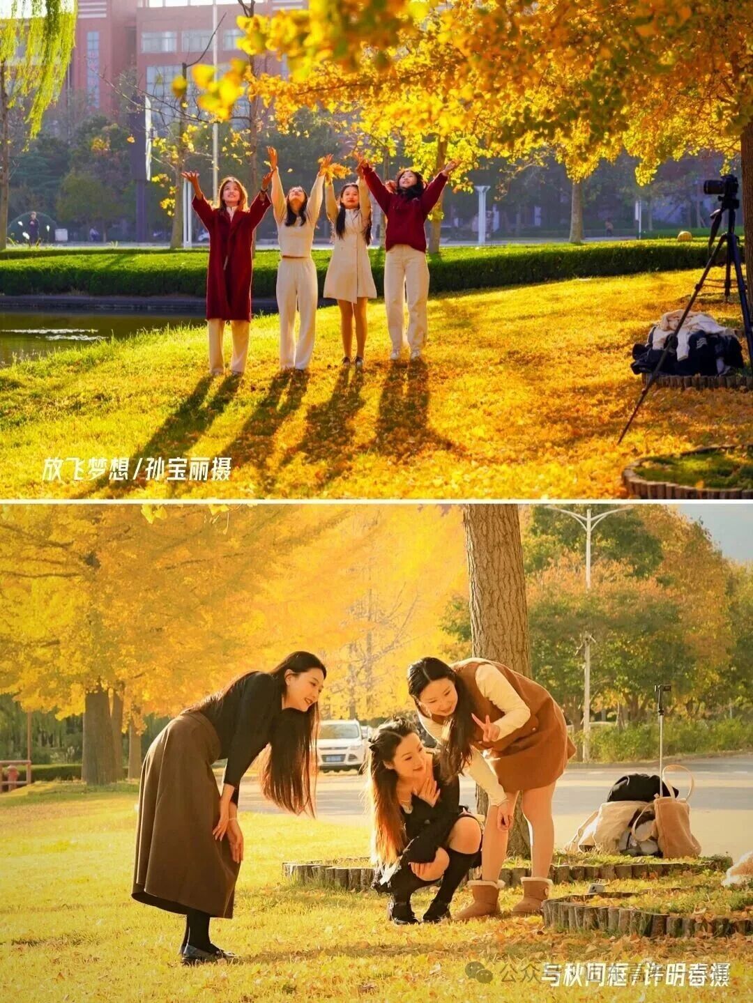 高校秋季“限定皮肤”已上线!这波秋景你pick哪一个?