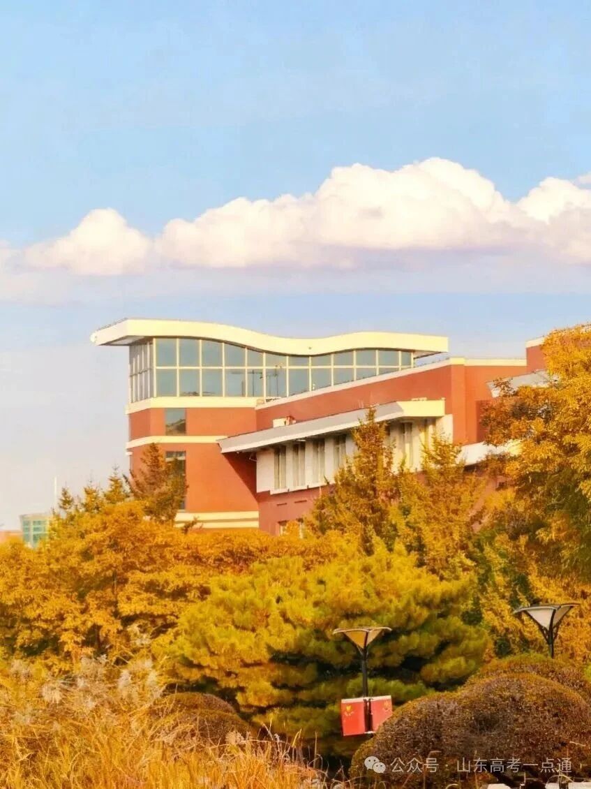 高校秋季“限定皮肤”已上线!这波秋景你pick哪一个?