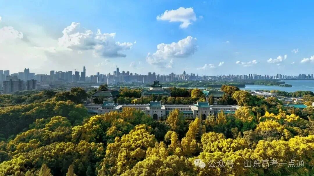 高校秋季“限定皮肤”已上线!这波秋景你pick哪一个?