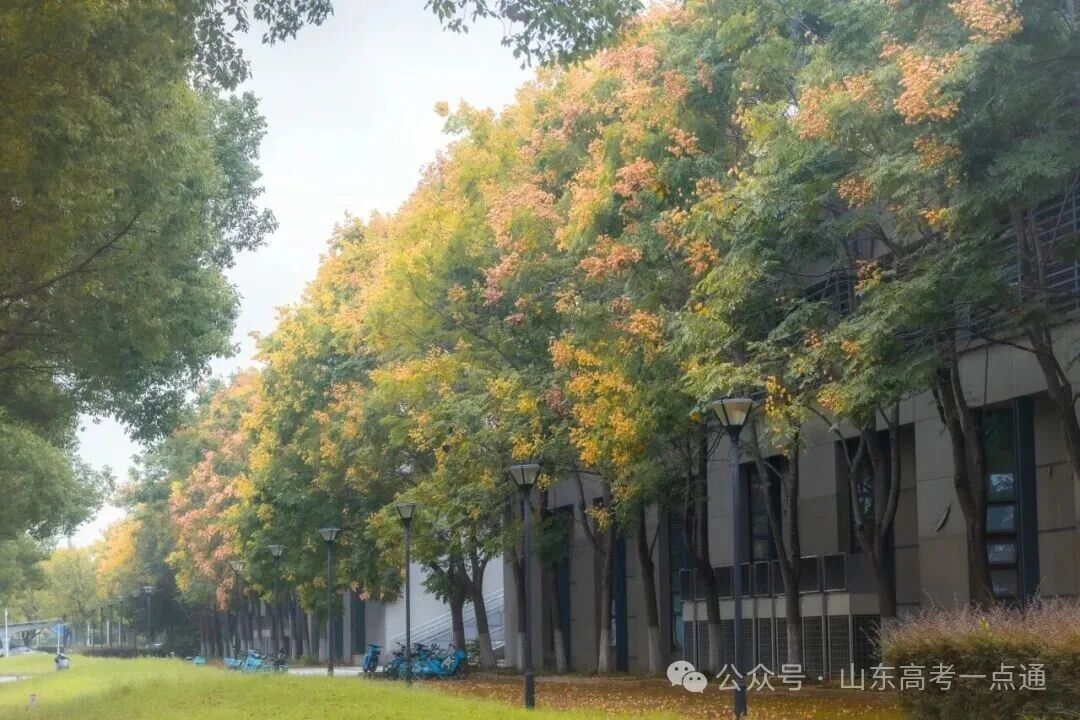 高校秋季“限定皮肤”已上线!这波秋景你pick哪一个?