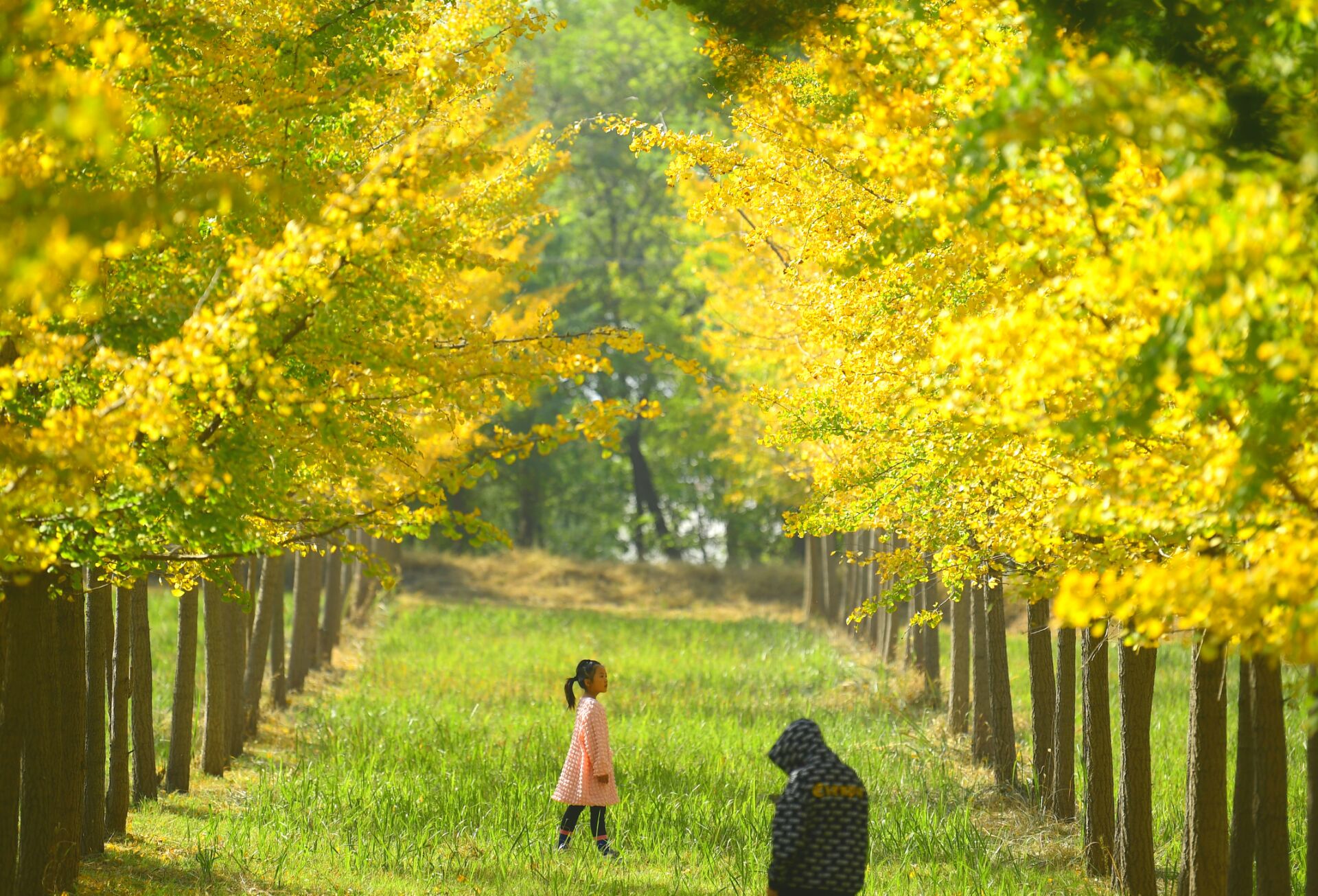 济南本周气温先降后升,周四、五有小雨 今日市区最低气温4℃