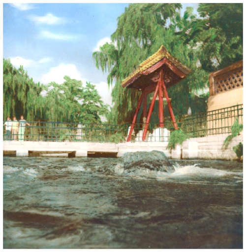 济南记忆：观澜亭前几盈枯