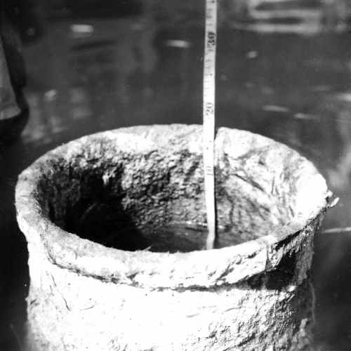 济南记忆：观澜亭前几盈枯