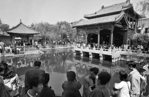 济南记忆：观澜亭前几盈枯